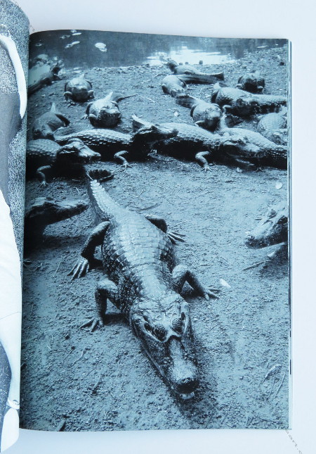 PERMANENT FOOD N6. (Milan) - Dijon, A&M Bookstore, L'association des Temps Librs, Le Consortium, 1998.