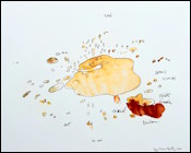 Fabrice HYBER(T)