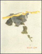 Miklos BOKOR