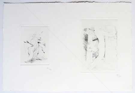 Joseph Sima - Bernard No&euml;l. La pens&eacute;e mat&eacute;rielle. Paris, Galerie Thessa Herold, 2001.