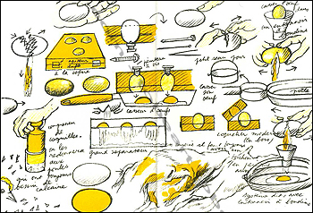  Lithographie originale de Henri Cueco.