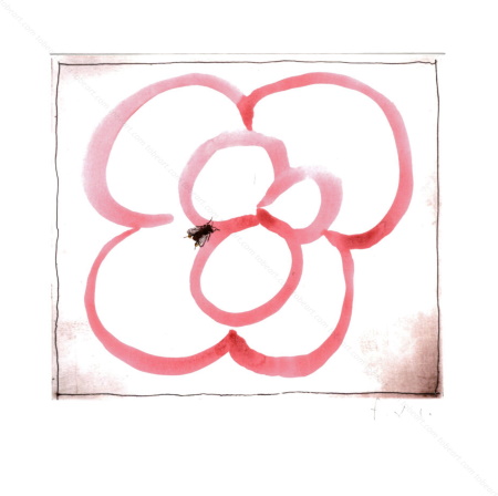Gravure originale de Fran&ccedil;ois-Xavier Lalanne - L'abeille. 